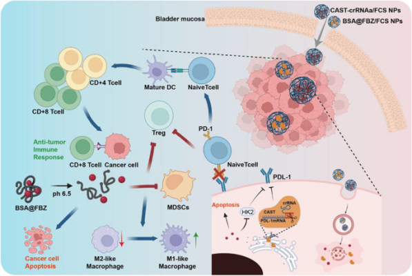 How does Fenbendazole work for treating cancer?