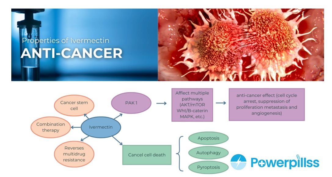 Anticancer Potential Of Ivermectin